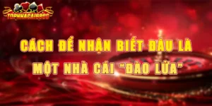 Cách Để Nhận Biết Đâu Là Một Nhà Cái “Đào Lửa”